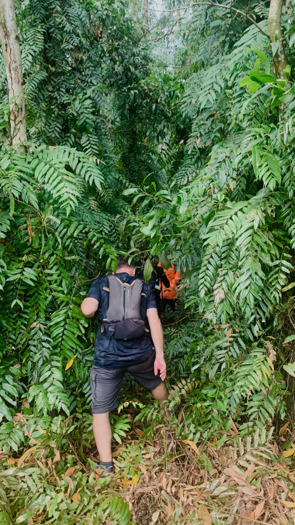 Hiking rừng Lê Minh Xuân ở Sài Gòn, cùng CLB Tiếng Pháp Sài Gòn